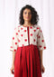 POLKA IKAT OVERLAY